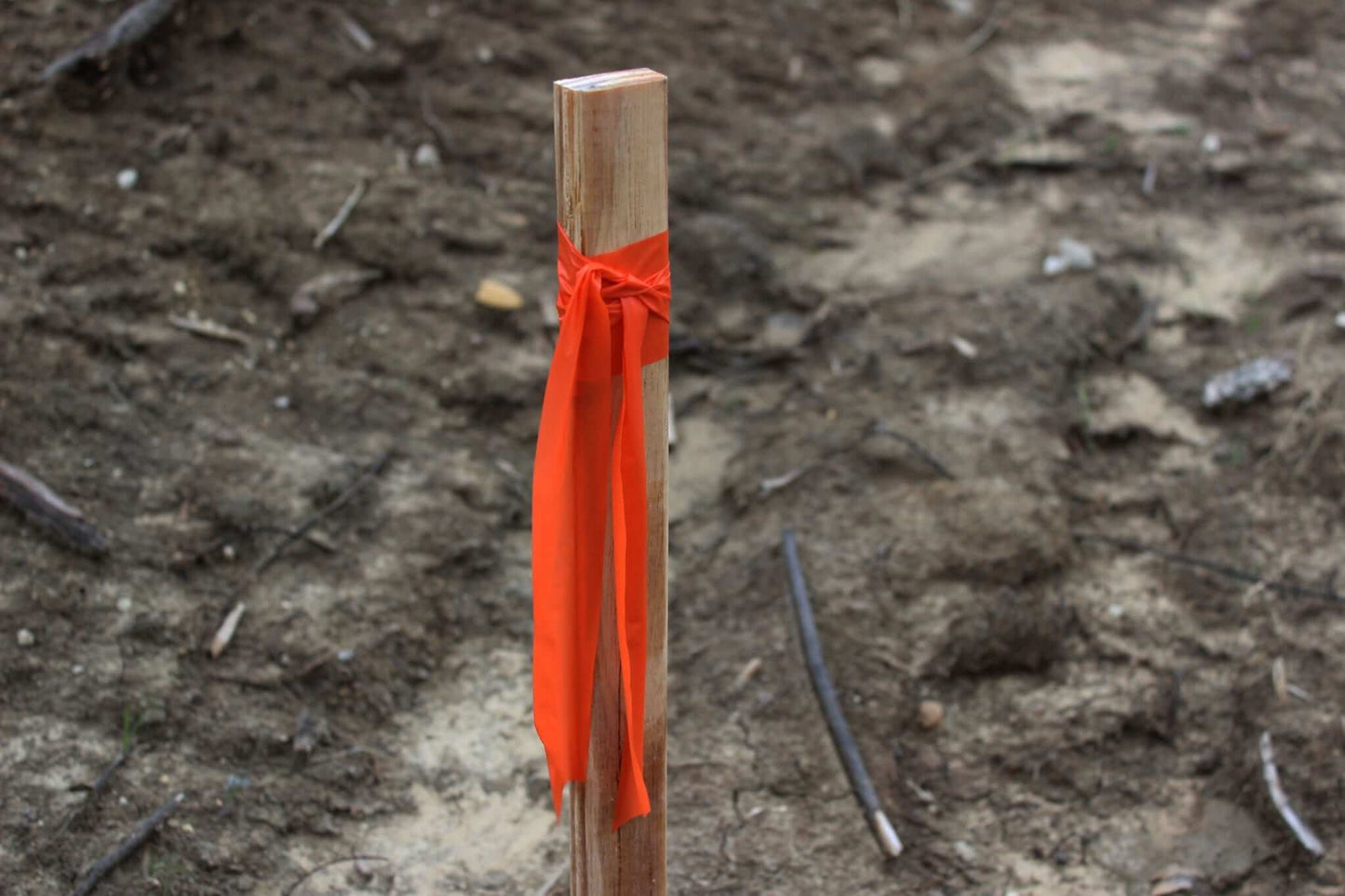 Presco Texas Flagging Tape PVC 1-3/16in x 150ft - in use field1 - Orange Glo TXOG
