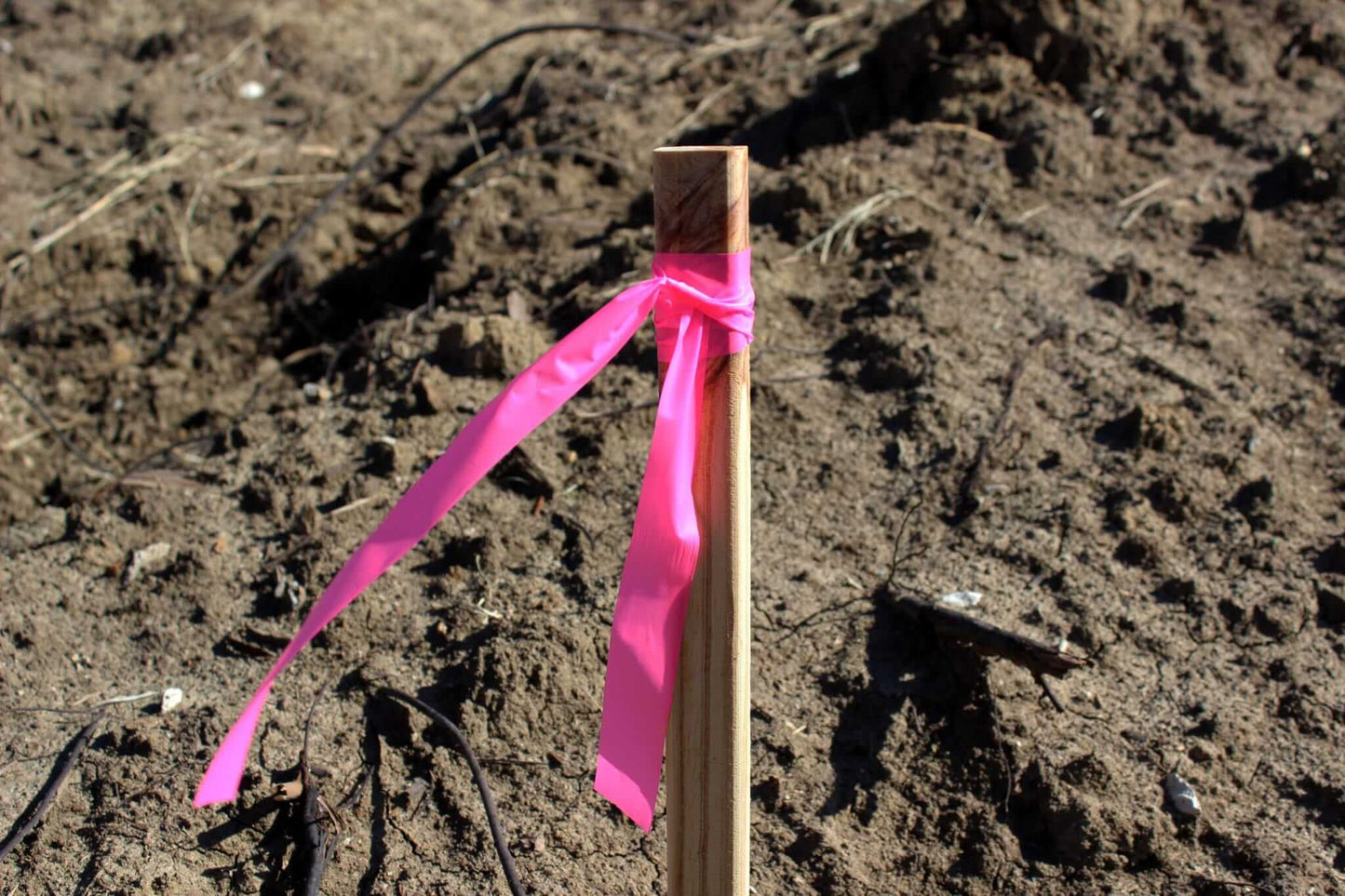Presco Texas Flagging Tape PVC 1-3/16in x 150ft - in use field2 - Pink Glo TXPG