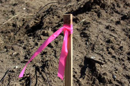 Presco Texas Flagging Tape PVC 1-3/16in x 150ft - in use field2 - Pink Glo TXPG